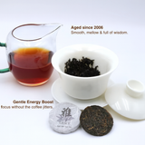 Load image into Gallery viewer, Grace · Ripe Pu&#39;er (2006)